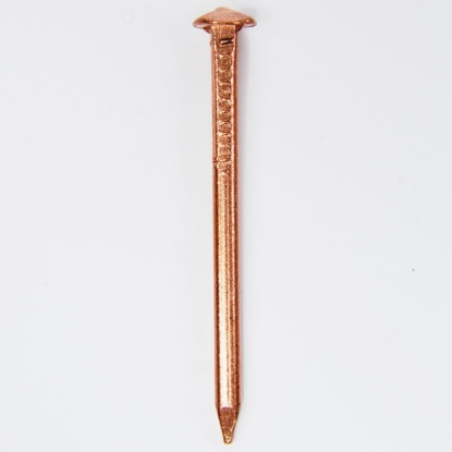 Afbeelding - https-www-ez-catalog-nl-Asset-701dc3889d204676b58b3ae89d8ab668-ImageFullSize-887-30-401-jpg